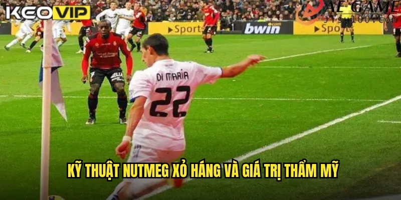 Kỹ Thuật Nutmeg Xỏ Háng - Kèo Vip Đánh Giá Kỹ Năng Đỉnh Cao 1 Kỹ thuật Nutmeg xỏ háng và giá trị thẩm mỹ