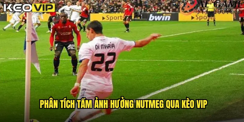 Kỹ Thuật Nutmeg Xỏ Háng - Kèo Vip Đánh Giá Kỹ Năng Đỉnh Cao 2 Phân tích tầm ảnh hưởng Nutmeg qua Kèo Vip